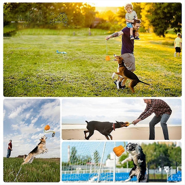Interaktive Hundelegetøj, Græskar Hundelegetøj til Mellemstore til Store Hunde, Hundetyggelegetøj med Langt Reb til Aggressive Tygger, Hundetræning DMJ