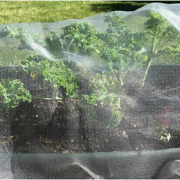 Insektbeskyttelsesnet, 6x2,5m, 60 mesh, insektnet til planter