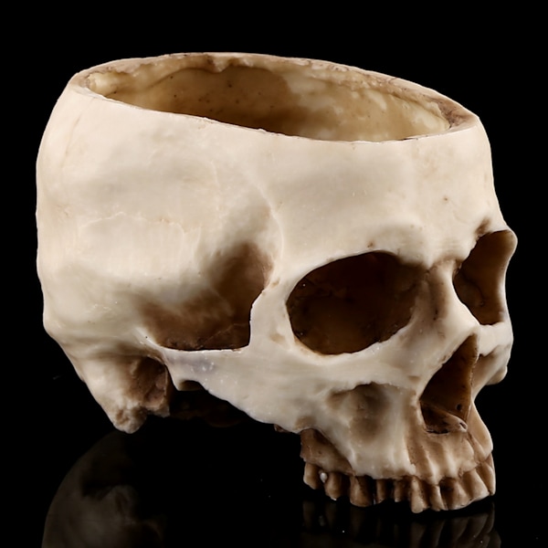 1 kpl Resin Skull Head Design kukkaruukkuistutusastian koristelu