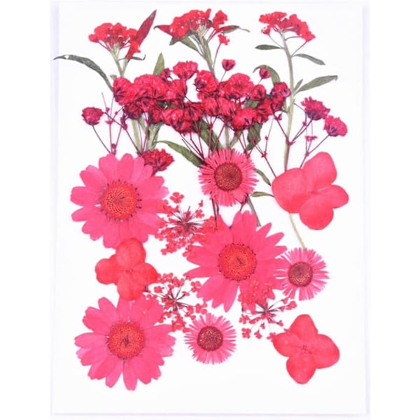 Tørket blomstermaterialpose preget DIY mobiltelefondeksel fotorammedekorasjon