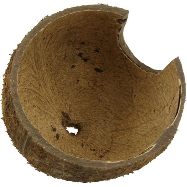 Naturligt kokoskrybdyr og padderhus - 13 x 6 cm