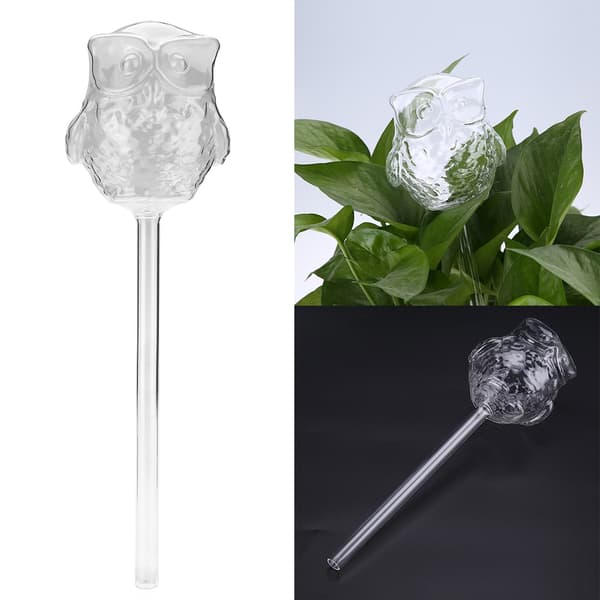 Husplanter Blomster Automatiske Selvvanningsenheter Klart Glass Vannmater Ugleform