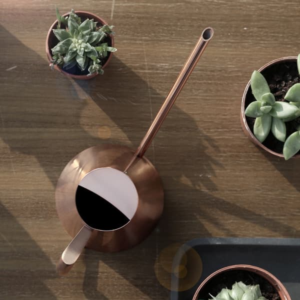 Vandkande i rustfrit stål til husholdning, have, grønne planter, blomster, bronze M