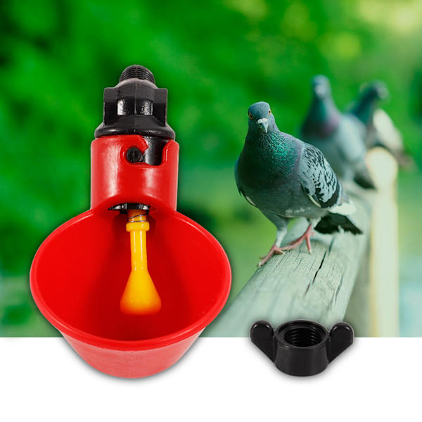 5kpl Chicken Bird -automaattiset juomalaitteet veden juomakupit, kulhot (kiinteä ruuvi)