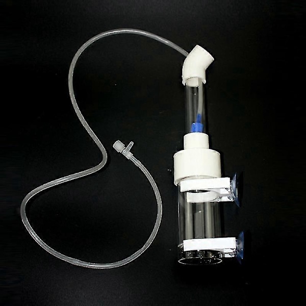 Akvarium Ciklider Tumler Fisk Klekkeri Inkubator Egg Munnruger 50mm Juni 6.1