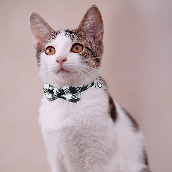 Söt Katt Halsband Fluga, Svart