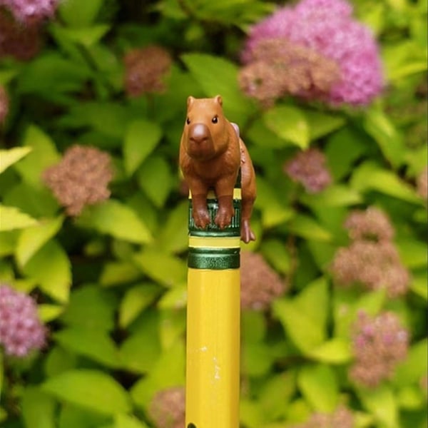 3D Capybara Örhängen, Handmålade Capybara Söta Djur Örhängen, 3D-Printade 1 Par Capybara Örhängen Som En Gåva Till Capybara-Entusiaster