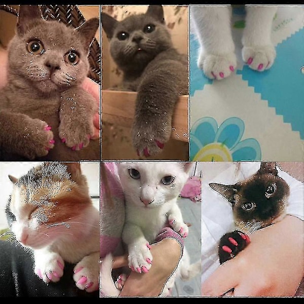40 st Mjuka Katthund Nagel Skydd Pet Paw Claw Protector Nagelöverdrag med Gratis Lim Applikator XL