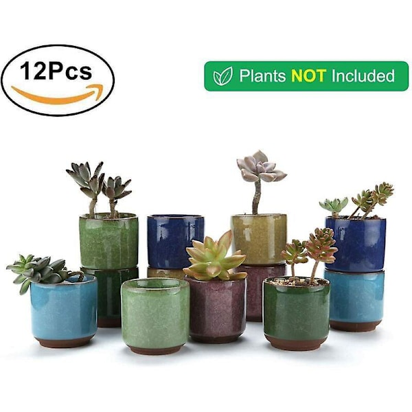 T4U 6.5CM Keramiska Suckulentkrukor Crackle Serie Suckulent Växt Kaktus Blomkruka Odla Planter 1 Förpackning med 12 Gåva för Födelsedag Bröllop