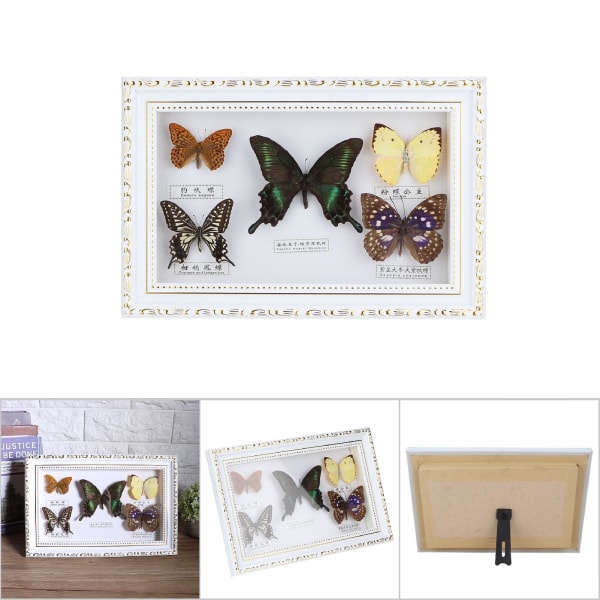 Udsøgte sommerfugle insektprøver håndværk Fødselsdagsgave dekoration til hjemmet (hvid ramme)