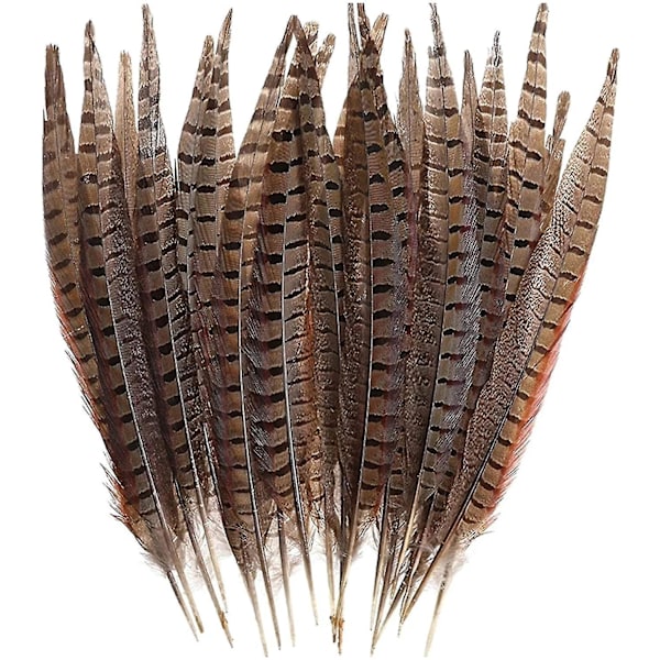 30 st Naturliga Fasanfjädrar, DIY Fasanstjärtfjädrar, 15-28 cm Mjuka Naturliga Plymer Kompatibla Hårhattar Hantverk Festdekoration, Naturfärg-A