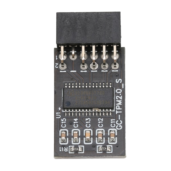 TPM 2.0 krypteringssikkerhetsmodul for GIGABYTE 12Pin LPC-grensesnitt Høysikkerhetsfjernkontrollkortkrypteringssikkerhetsmodul