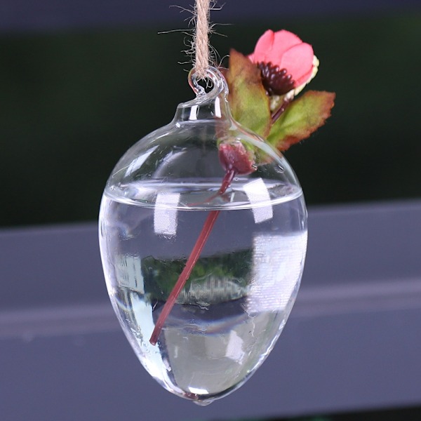 Hængende planter Plantepotte Blomster Vase Væg Hydroponisk Akvarium Beholder Hjemmeindretning