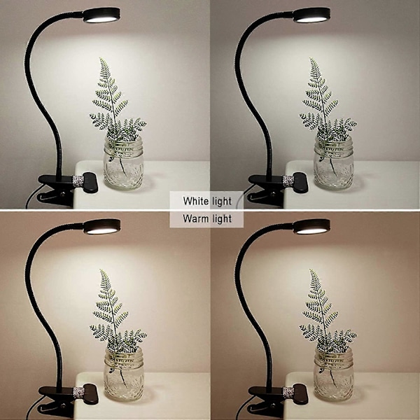 Clip-on Lampe/Læselampe/Lysfarve kan ændres/Natlampe Clip-on til Skrivebord, Sengegavl og Computere (Sort)