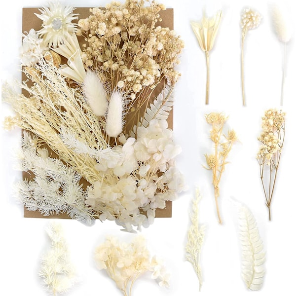 Mixed Natural Dried Flower Set for Candle Decoration, Crafts, Scrapbooking, Bookmark