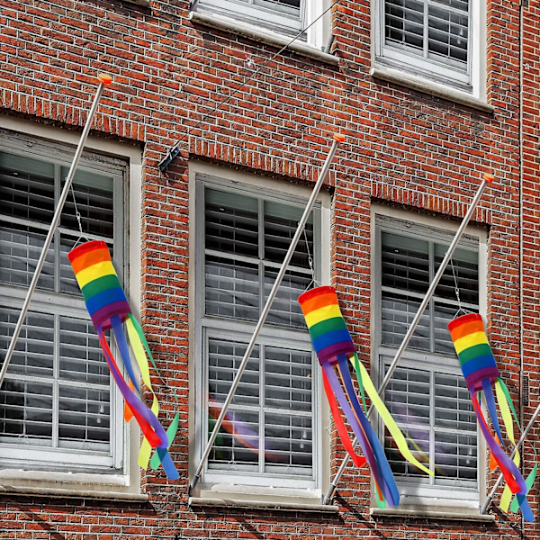 Fargerik regnbue patriotisk vindsokk - 2 pakker, vanntett materiale, 88 cm, utendørs hengende dekorasjon