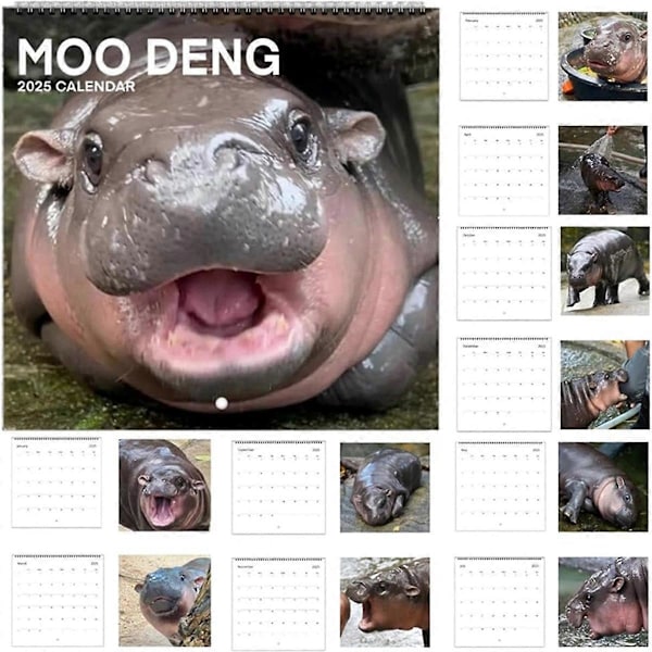 Moo Kalender 2025 Bordskalender & Kalender