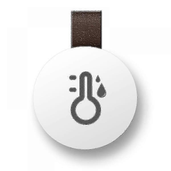 Bluetooth termometer hygrometer, trådløs termohygrometer mini, med smart sensorapp, datalogger og eksportdata for soverom, babyrom, vinkjeller 1 PC