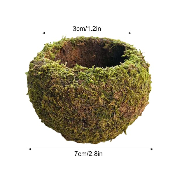 Japansk Stil Mossboll Trädgårdsarbete Krukväxt Moss Blomkruka D