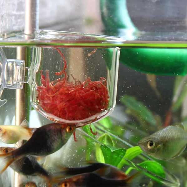 Aquarium Worm Feeder - Sugkoppsmatningsbehållare för fisk