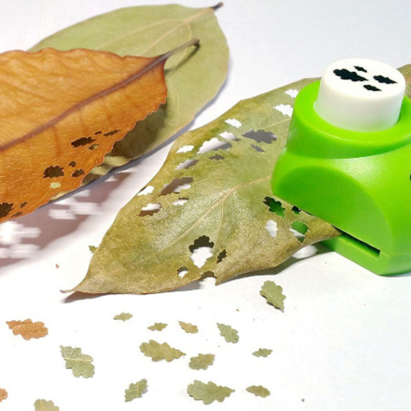 Kaunis Paper Punch Cutter Puun Lehtien Muotti DIY-Käsityötarvikkeet 8kpl PaperOak Leaf