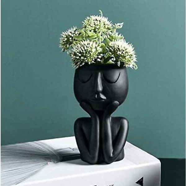 Nordisk stil sort ansigt blomsterpotte sukkulent planter