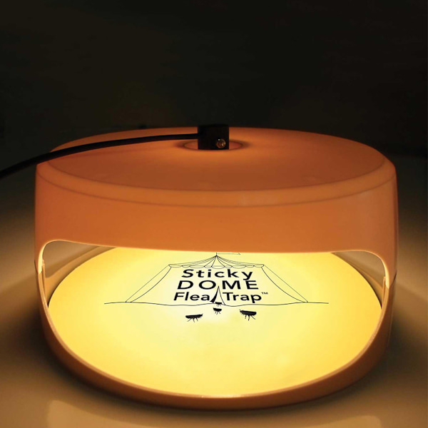 Elektrisk Sticky Flea Killer Rundflugor Trap Lamp Giftfri loppfälla för hemmet