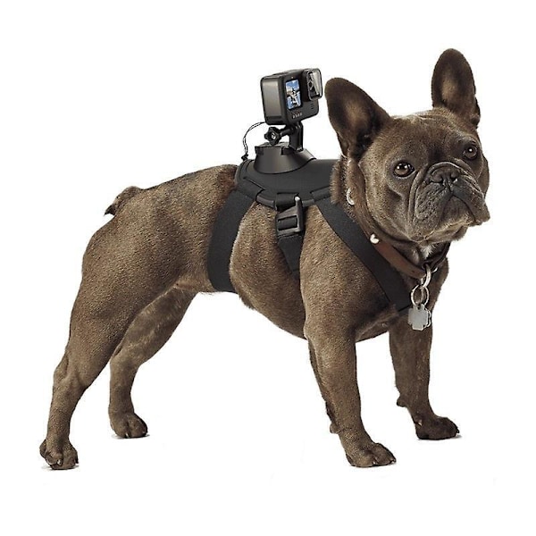 1 stk. Gopro hundedækken, der passer til store, mellemstore og små hunde. Det bløde og justerbare Gopro hundedækken kan bruges til bryst- og rygfiksering