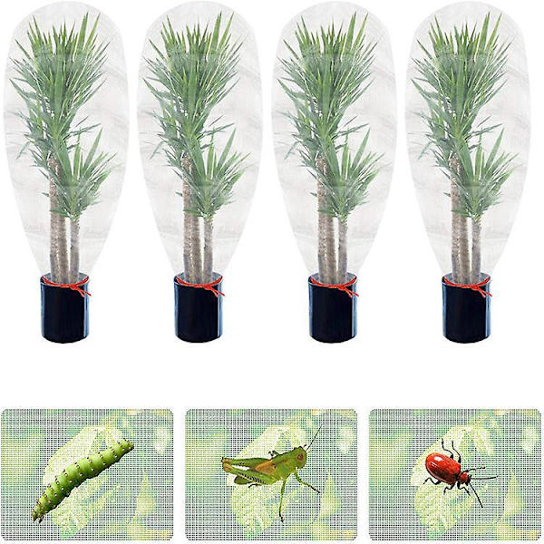Ikke-vævet plantebeskyttelsesdæksel (sæt med 2) - frost-, vind- og nedbørsskærm til potteplanter (M | 1,8*1,8 cm)