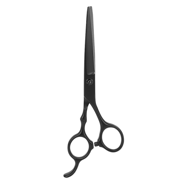 Hårklippningssax Kit Clip Clipper Hållare Kam Rostfritt Stål Frisörsax Set för Barber Shop