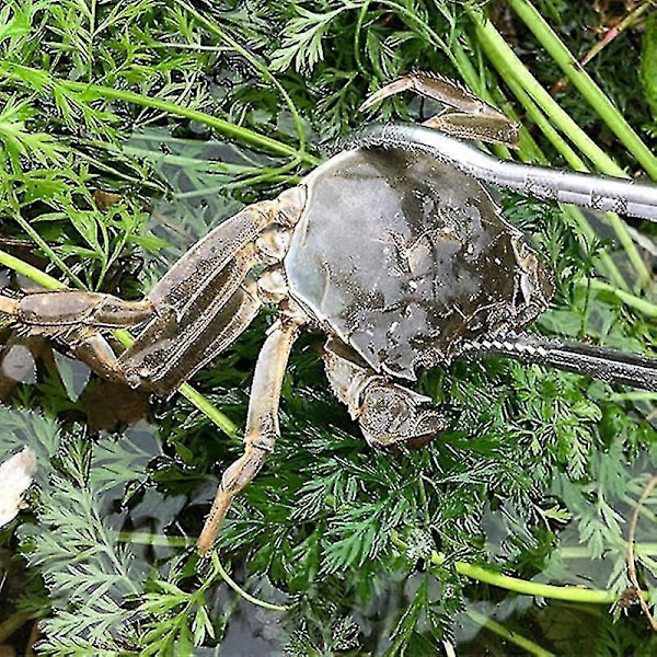 Förstärkt Multifunktionell Halkfri Skräpkrabbklämma Artefakt Tång Fiskeverktyg