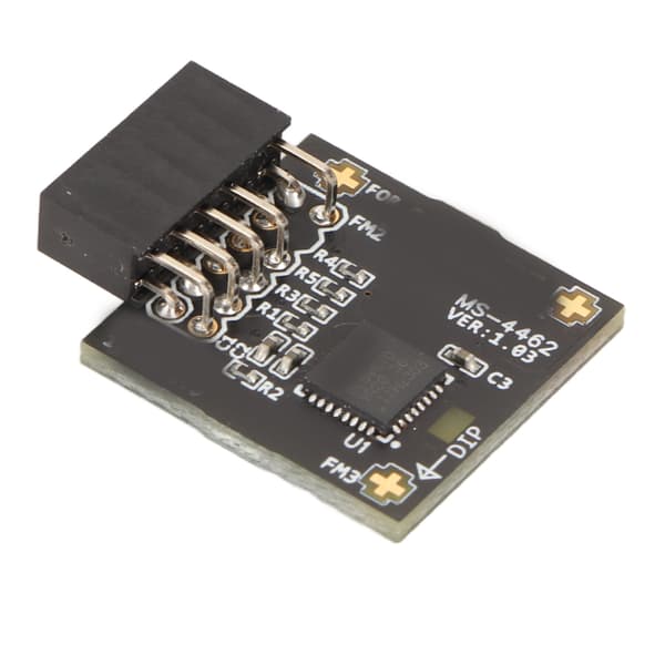 TPM2.0 Modul TPM SPI 12Pin Modul med SLB 9670 Standalone Sikkerhedsmodul til MSI Bundkort til Windows 10 11