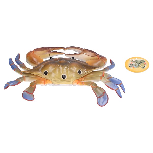 Krabbe Havdyr Model Figur Ocean Model Legetøj Pædagogisk Dyrelegetøj til Børn PL127-1298