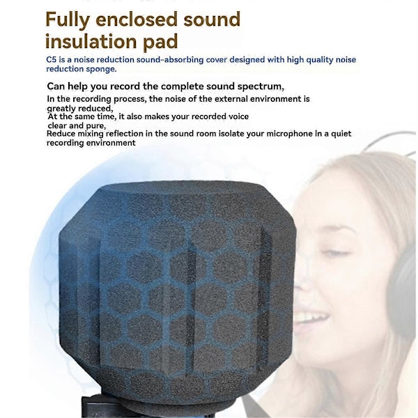 C5 Mikrofon Vindskydd Akustiskt Mikrofonskydd Studio A