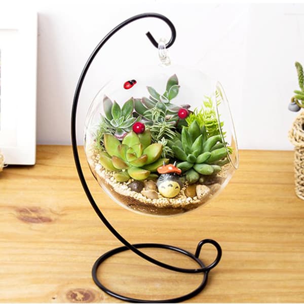 Stor Hængende Glasvase Terrarium til Luftplanter og Sukkulentplanter