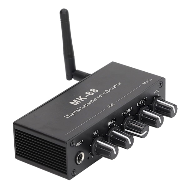 Digital Reverb Stereo Förstärkare Bluetooth 5.0 Dubbel Mikrofoningång DC 12V
