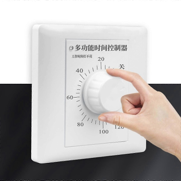 AC 220V Timer Bryter Kontroll Pumpe Mekanisk Nedtelling Kontroll Interruptor Hvit 60 minutter