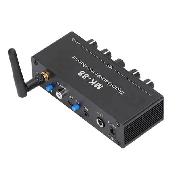 Digital Reverb Stereo Förstärkare Bluetooth 5.0 Dubbel Mikrofoningång DC 12V