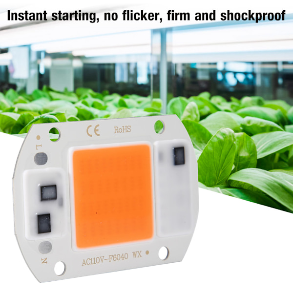 2 kpl AC110V 20W kirkas integroitu LED-siru kasvivalaisimen valonlähde COB-siruja