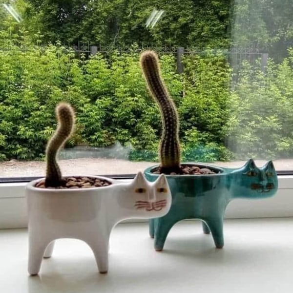 Kollektiv Planter Sukkulente Potter med Dræning Sukkulente Planter Kat Keramiske Have Potter Kaktus Planter Pot