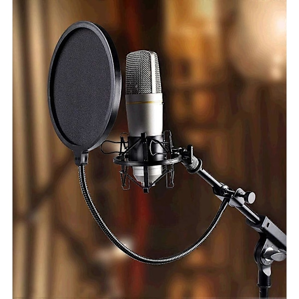 Mikrofon Blast Filter med Dubbla Lager Ljudisolerande Vindruta med Flexibel 360 Graders Svanhals