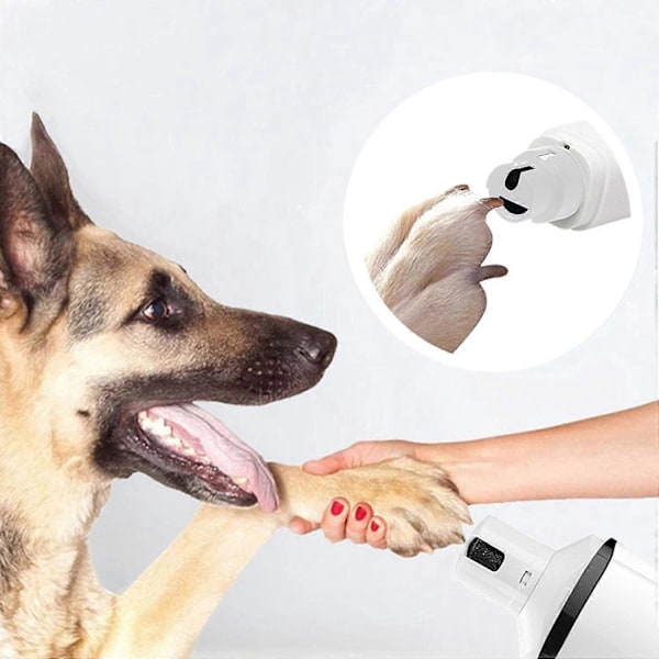 Hundnagelklippare, Elektrisk Tyst Kloklippare För Hundar, Smärtfri Nagelfil, Lämplig För Små Till Stora Hundar Och Katter Svart