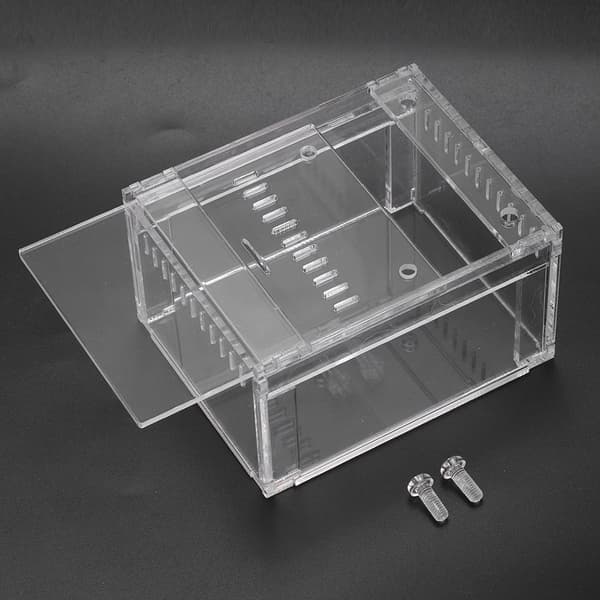 Akryl Transparent Flameer Reptiler Insektstank Uppfödningslåda Husdjur Ormar Sköldpaddor Terrarium