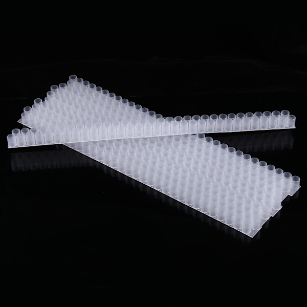6 st Plast Queen Bee Double Cell Bar Strip Set Base för biodling med 63 Queen Cell Cups