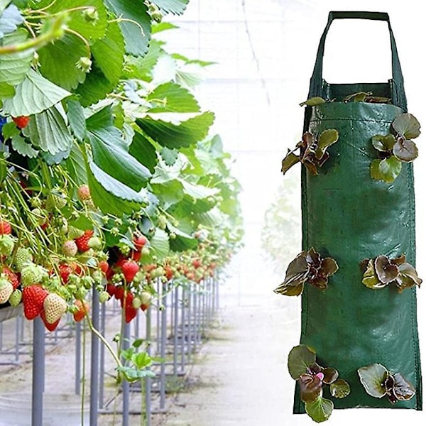 2 Pak Strawberry Hængende Dyrkningsposer Grøn, Rød