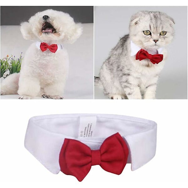Katt Fluga Halsband Röd Fluga Justerbart Katt Halsband Formell Husdjurs Fluga Halsband Slips för Hundar och Katter-L 2st
