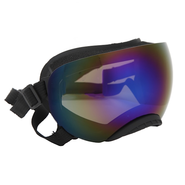 Hunde Goggles Vindtætte UV Øjenbeskyttelse Justerbar Rem Hvalpesolbriller Universal til Mellemstore Kæledyr Blå Linse
