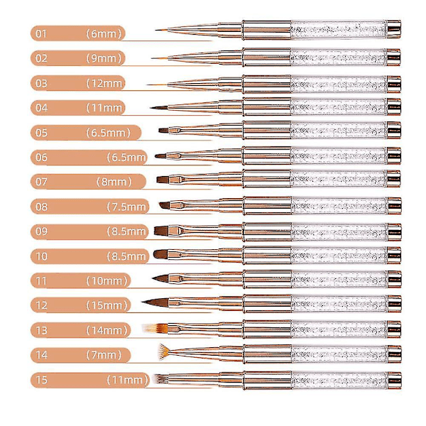 15-delt neglekunst penselsæt til DIY neglekunst maling og tegning 15stk