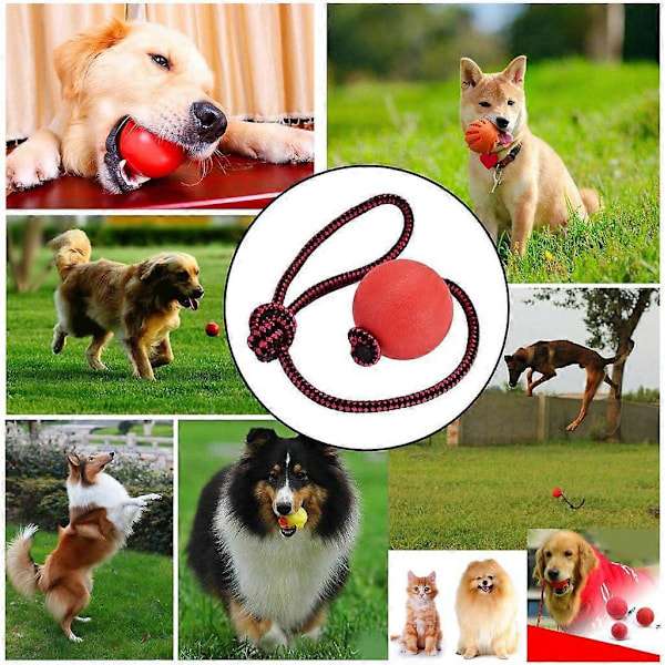 Kastebold til Hund, Pakke med 3 Elastiske Hundelegetøjsbolde med Reb | Naturlig Gummibold med Reb | Hvalpelegetøj til Små Hunde og Hvalpe