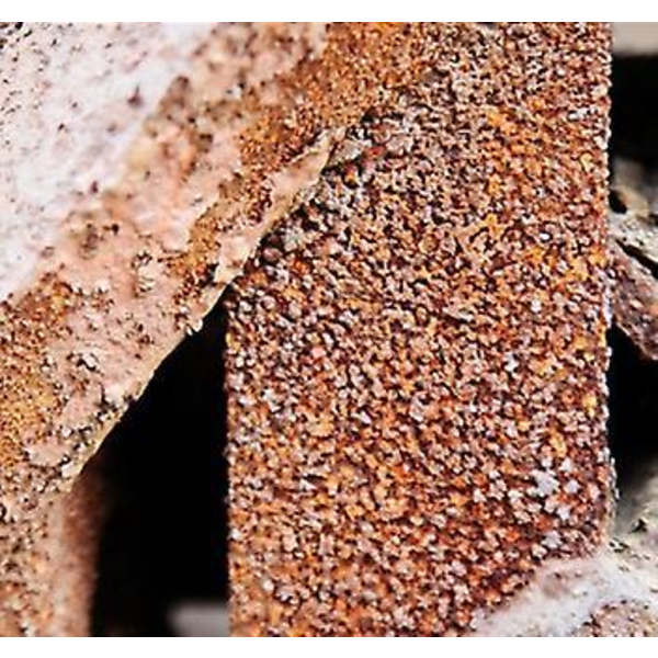 Universal 6" harjaspää: kartiomainen harja, lanka ja filamenttilevy
